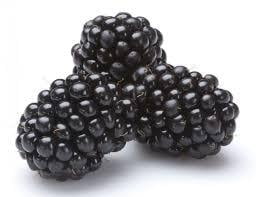 BLACKBERRIES BLACKBERRIES