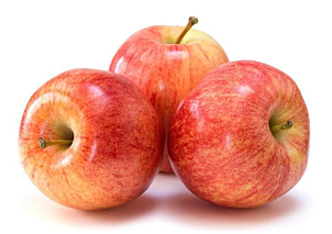 APPLE GALA APPLE GALA