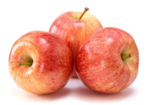 APPLE GALA APPLE GALA APPLE GALA APPLE GALA