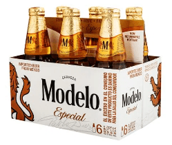 MODELO MODELO